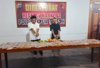 Petugas menunjukkan barang bukti puluhan paket ganja yang disita dari dua pelaku dalam operasi narkoba di Nabire. Dok_Humas Polda PT