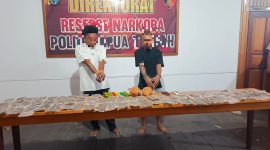 Petugas menunjukkan barang bukti puluhan paket ganja yang disita dari dua pelaku dalam operasi narkoba di Nabire. Dok_Humas Polda PT