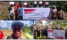 Polda Papua Tengah Dorong Produktivitas Petani Jagung di Yaro dan Wanggar