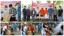 Barang bukti ganja dimusnahkan di Kantor Direktorat Narkoba Polda Papua Tengah, Rabu (13/5/2026). Humas PPT. NT
