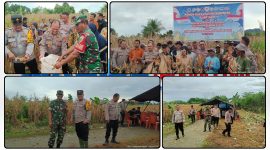 Kapolsek Makimi bersama Danramil 1705-02/Napan menghadiri panen raya jagung serentak kuartal II di Kampung Lagari Jaya sebagai bentuk dukungan terhadap program ketahanan pangan dan peningkatan kesejahteraan petani. Dok_Andi. NT