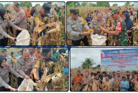 Panen Raya Jagung Kuartal II yang dirangkaikan dengan groundbreaking 10 Gudang Ketahanan Pangan Polri dan launching operasional 166 SPPG Polri berlangsung sukses di Kampung Lagari Jaya, Distrik Makimi, Kabupaten Nabire. Dok_Andi. NT