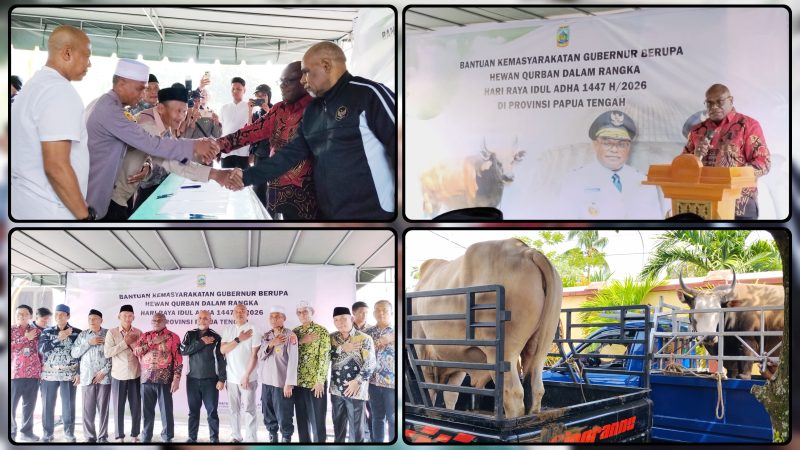 Gubernur Papua Tengah, Meki Nawipa, menyerahkan bantuan hewan qurban kepada masyarakat di Masjid Agung Al-Falah, Nabire, Minggu (24/5/2026), menjelang Hari Raya Idul Adha 1447 Hijriah. Dok_Alvi. NT