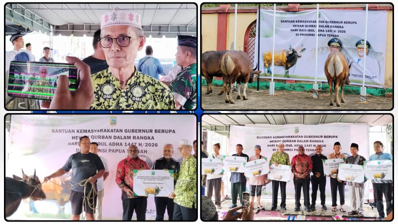Ketua DMI Papua Tengah, H. Azis Baharuddin, menyampaikan apresiasi kepada Pemprov Papua Tengah atas bantuan 26 ekor sapi kurban untuk masjid dan masyarakat menjelang Iduladha 1447 Hijriah di Nabire, Minggu (24/5/2026). Dok_Alvi. NT