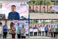 Pemprov Papua Tengah melalui (Plt.) Kadis Perkebunan dan Peternakan Papua Tengah, drh. Rafael Hedin Nugroho, menyerahkan secara simbolis 11 ekor Sapi Kurban Idul Adha 1447 H Senin (25/5/2026). Dok_Alvi. NT