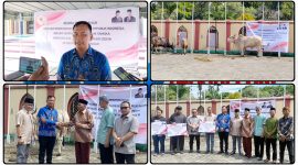 Pemprov Papua Tengah melalui (Plt.) Kadis Perkebunan dan Peternakan Papua Tengah, drh. Rafael Hedin Nugroho, menyerahkan secara simbolis 11 ekor Sapi Kurban Idul Adha 1447 H Senin (25/5/2026). Dok_Alvi. NT