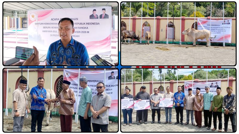 Pemprov Papua Tengah melalui (Plt.) Kadis Perkebunan dan Peternakan Papua Tengah, drh. Rafael Hedin Nugroho, menyerahkan secara simbolis 11 ekor Sapi Kurban Idul Adha 1447 H Senin (25/5/2026). Dok_Alvi. NT