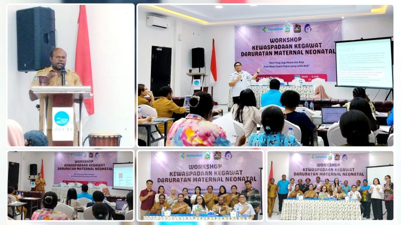 Peserta Workshop Kewaspadaan Kegawatdaruratan Maternal dan Neonatal mengikuti pembukaan kegiatan yang digelar Dinas Kesehatan Papua Tengah di Aula Yahorr Inn Hotel, Nabire, Senin (22/6/2026). Pelatihan ini bertujuan meningkatkan kemampuan tenaga kesehatan dalam menangani kegawatdaruratan ibu dan bayi baru lahir. Dok_Alvi NT