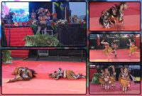Meski diguyur hujan deras, para penari Kabupaten Nabire tetap tampil memukau membawakan tari kreasi "Api Membawa Berita" pada Festival Cahaya Kreasi Pelajar Papua Tengah 2026. Tarian ini mengangkat kisah perjuangan kepala suku mencari anaknya yang hilang melalui simbol api dan asap sebagai media komunikasi tradisional masyarakat adat Nabire. Dok_Arief NT