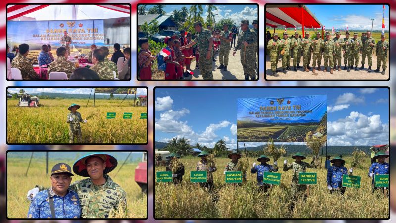 Komandan Yonif TP 804/DBAY Letkol Inf Okto Hutabri Tanimba mendampingi Kasdam XVII/Cenderawasih Brigjen TNI Haryantana saat Panen Raya Padi di Kampung Bumi Raya SP 1, Kabupaten Nabire, Kamis (16/7/2026). Dok_Pen Yonif TP 804/DBAY.