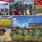 Komandan Yonif TP 804/DBAY Letkol Inf Okto Hutabri Tanimba mendampingi Kasdam XVII/Cenderawasih Brigjen TNI Haryantana saat Panen Raya Padi di Kampung Bumi Raya SP 1, Kabupaten Nabire, Kamis (16/7/2026). Dok_Pen Yonif TP 804/DBAY.