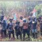 Tentara Pembebasan Nasional Papua Barat (TPNPB) dalam pemberitaan terkait klaim penyerangan di wilayah Wamena, Kabupaten Jayawijaya, Sabtu (8/8/2026). Klaim mengenai kronologi dan kondisi korban masih menunggu verifikasi resmi. Dok_AS