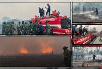 Personel gabungan TNI dan BPBD melakukan pemadaman serta pembasahan lahan dalam penanganan Karhutla di wilayah Waroki, Kabupaten Nabire, Papua Tengah. Dok_Korem 173/PVB