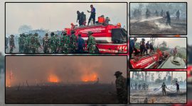 Personel gabungan TNI dan BPBD melakukan pemadaman serta pembasahan lahan dalam penanganan Karhutla di wilayah Waroki, Kabupaten Nabire, Papua Tengah. Dok_Korem 173/PVB