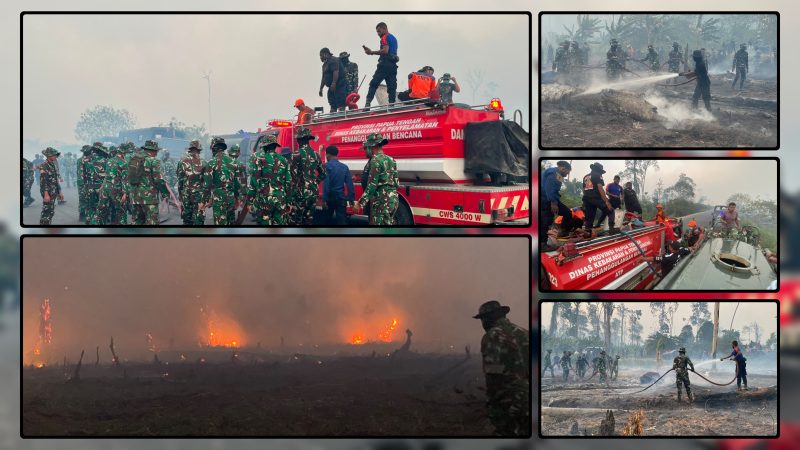 Personel gabungan TNI dan BPBD melakukan pemadaman serta pembasahan lahan dalam penanganan Karhutla di wilayah Waroki, Kabupaten Nabire, Papua Tengah. Dok_Korem 173/PVB