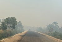 Asap terlihat menyelimuti sejumlah wilayah di Kabupaten Nabire, Papua Tengah. Pemerintah didorong segera memastikan sumber asap dan menangani titik kebakaran. Dok_ HPPT. NT