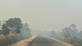 Asap terlihat menyelimuti sejumlah wilayah di Kabupaten Nabire, Papua Tengah. Pemerintah didorong segera memastikan sumber asap dan menangani titik kebakaran. Dok_ HPPT. NT