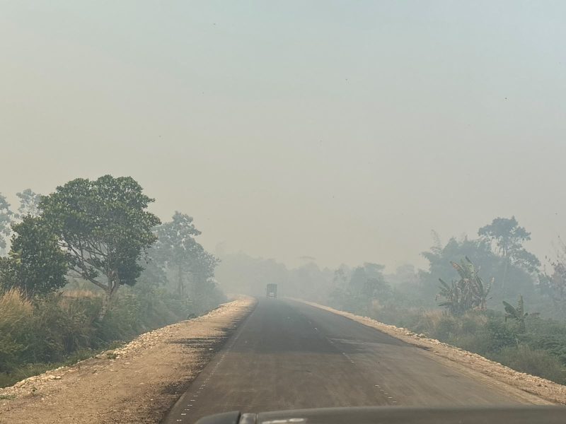 Asap terlihat menyelimuti sejumlah wilayah di Kabupaten Nabire, Papua Tengah. Pemerintah didorong segera memastikan sumber asap dan menangani titik kebakaran. Dok_ HPPT. NT