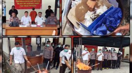 Wakapolres Nabire Kompol Dr. Piter Kendek, S.Sos., M.M., bersama jajaran terkait menyaksikan pemusnahan barang bukti narkotika jenis ganja di Satnarkoba Polres Nabire, Selasa (1/9/2026). Dok_Arief NT