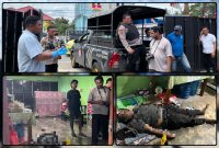 Personel Satreskrim dan Unit Identifikasi Polres Nabire melakukan pemeriksaan di lokasi penemuan pria meninggal dunia di kawasan Jalan Kali Bobo, Nabire, Selasa (1/9/2026). Dok_SatRes. NT