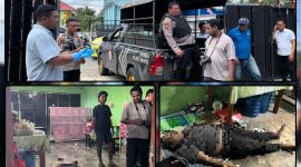 Personel Satreskrim dan Unit Identifikasi Polres Nabire melakukan pemeriksaan di lokasi penemuan pria meninggal dunia di kawasan Jalan Kali Bobo, Nabire, Selasa (1/9/2026). Dok_SatRes. NT