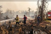 Personel Lanal Nabire bersama unsur terkait dan masyarakat melakukan pemadaman kebakaran lahan di Kampung Samabusa, Distrik Teluk Kimi, Nabire, Sabtu (12/9/2026). Dok_Lanal Nabire