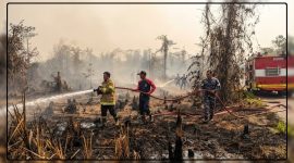 Personel Lanal Nabire bersama unsur terkait dan masyarakat melakukan pemadaman kebakaran lahan di Kampung Samabusa, Distrik Teluk Kimi, Nabire, Sabtu (12/9/2026). Dok_Lanal Nabire