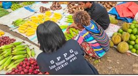 SPPG Nabire Dapur Siriwini 01 mengutamakan bahan pangan lokal untuk memenuhi kebutuhan menu Program Makan Bergizi Gratis (MBG) sekaligus melibatkan pedagang dan petani lokal di Nabire. Dok_Ist