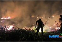 Kapolres Nabire AKBP Samuel D. Tatiratu bersama personel saat memadamkan kebakaran lahan gambut di sekitar Bandara Nabire, Selasa malam hingga Rabu dini hari (15–16/9/2026). Dok_HPPT