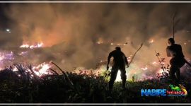 Kapolres Nabire AKBP Samuel D. Tatiratu bersama personel saat memadamkan kebakaran lahan gambut di sekitar Bandara Nabire, Selasa malam hingga Rabu dini hari (15–16/9/2026). Dok_HPPT
