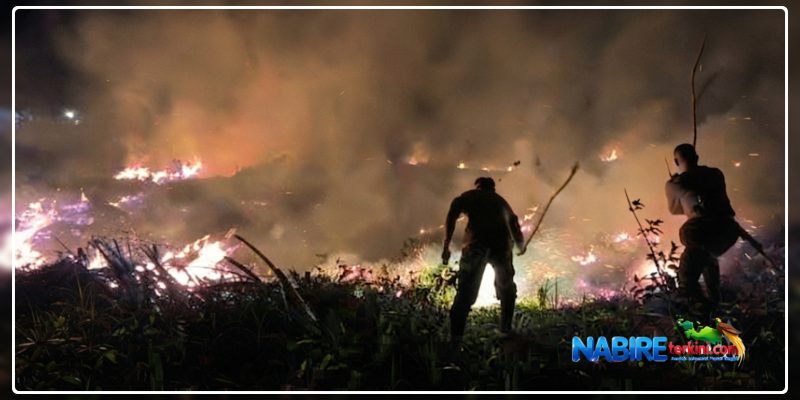 Kapolres Nabire AKBP Samuel D. Tatiratu bersama personel saat memadamkan kebakaran lahan gambut di sekitar Bandara Nabire, Selasa malam hingga Rabu dini hari (15–16/9/2026). Dok_HPPT