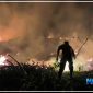 Kapolres Nabire AKBP Samuel D. Tatiratu bersama personel saat memadamkan kebakaran lahan gambut di sekitar Bandara Nabire, Selasa malam hingga Rabu dini hari (15–16/9/2026). Dok_HPPT